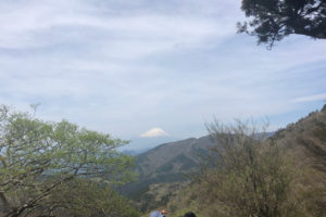 大山の富士見台