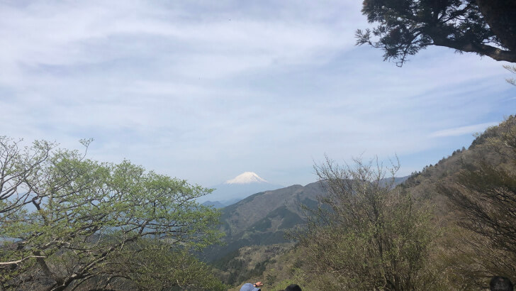大山の富士見台