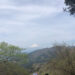 大山の富士見台